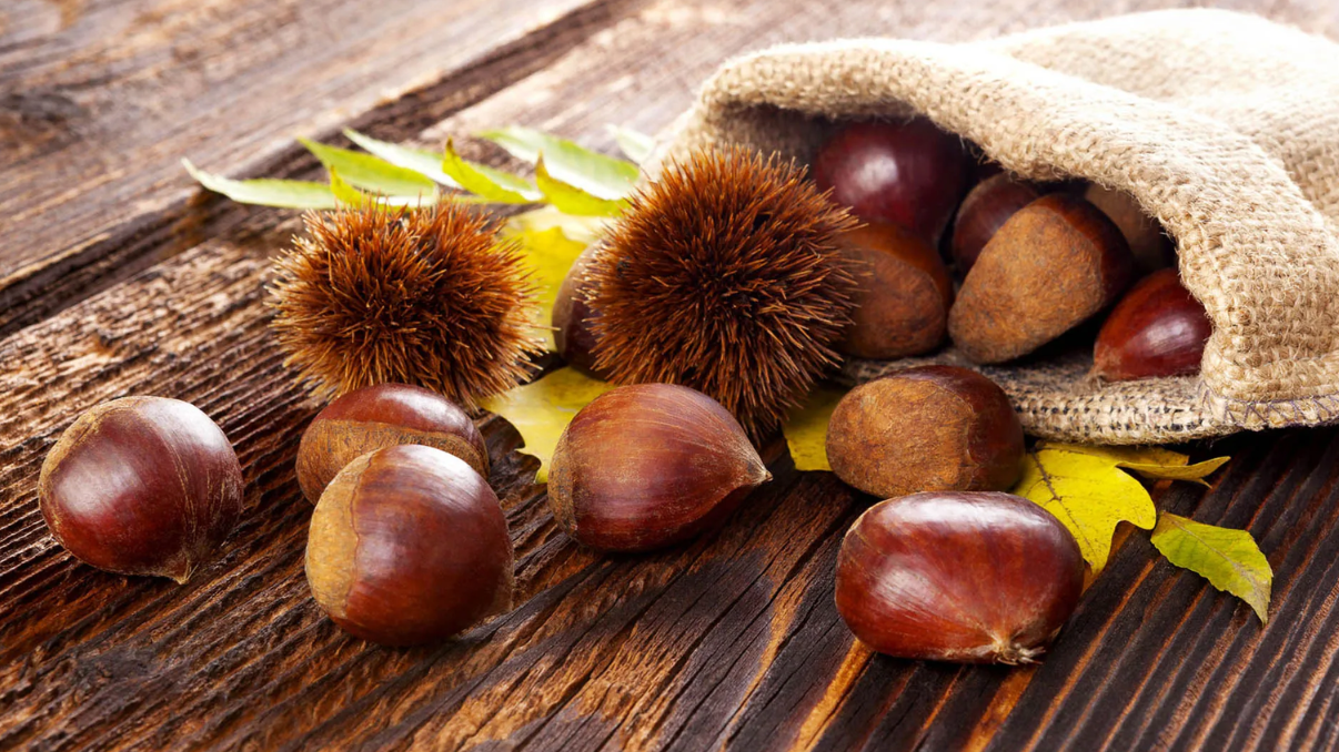 Castagne - Prodotto tipico di Rocca di Papa